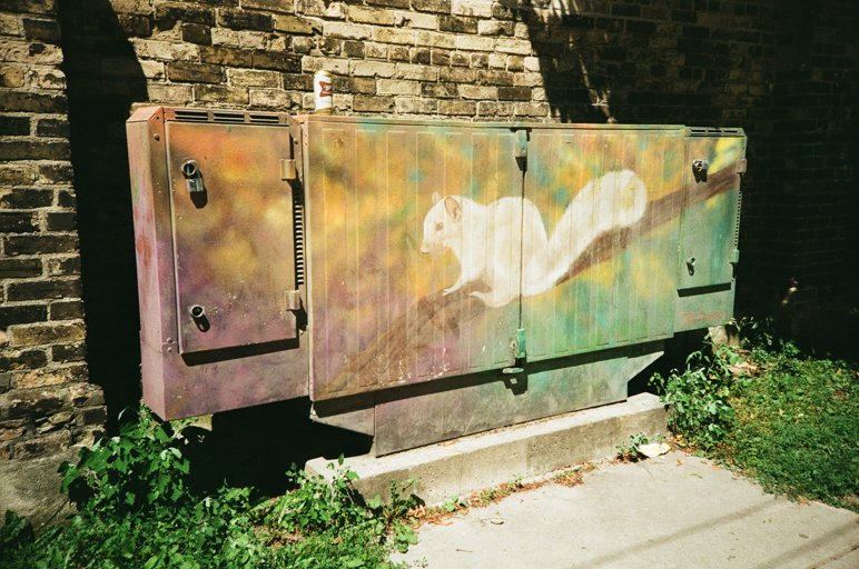 photo